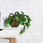 minimalistic-home-office-workplace-with-houseplants-how-to-make-your-home-office-more-inviting